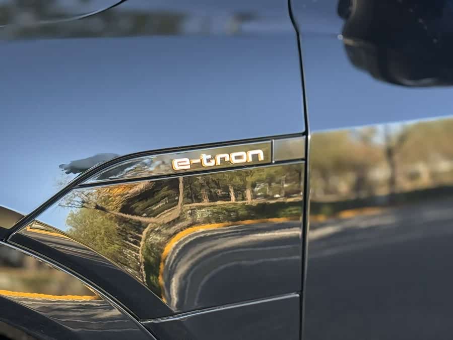 Audi e-tron (Imported) 2022 car image #13