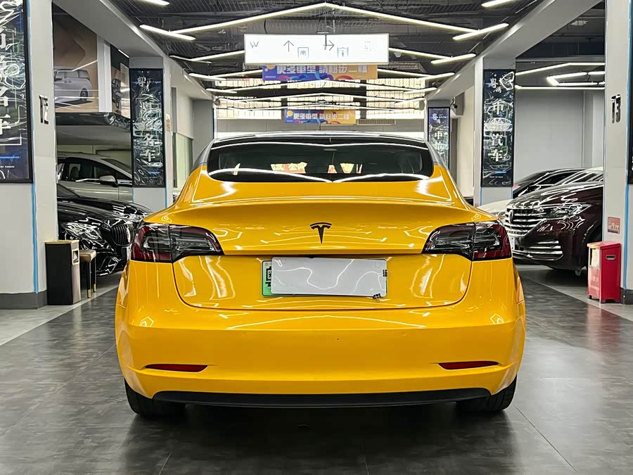 Tesla Model 3 2020 car image #13