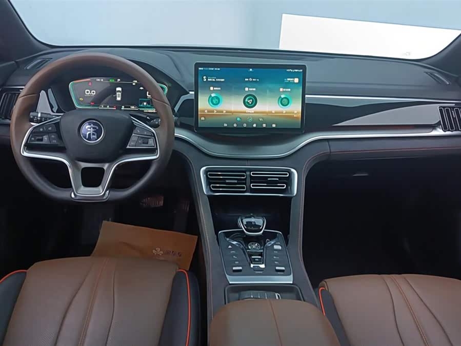 BYD Song Plus 2022 #13 BYD Song Plus 2022 immagine di auto #13