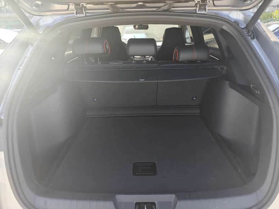 BYD Song Plus 2021 immagine di auto #13