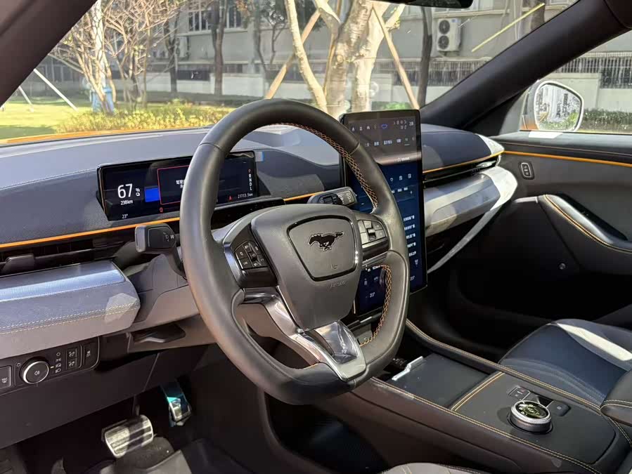 Ford Mustang Mach-E 2024 car image #13