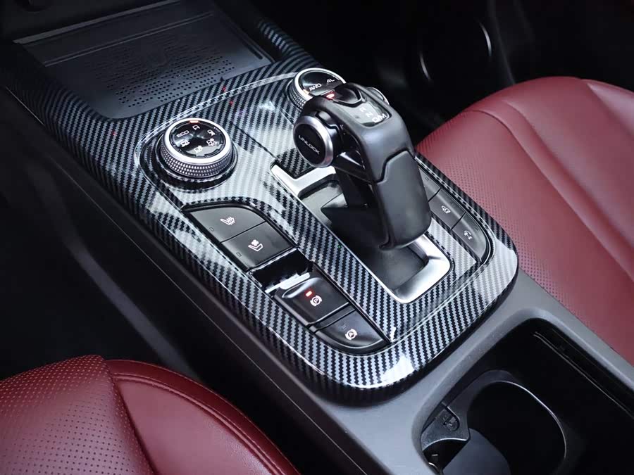 Tank 300 2024 car image #13