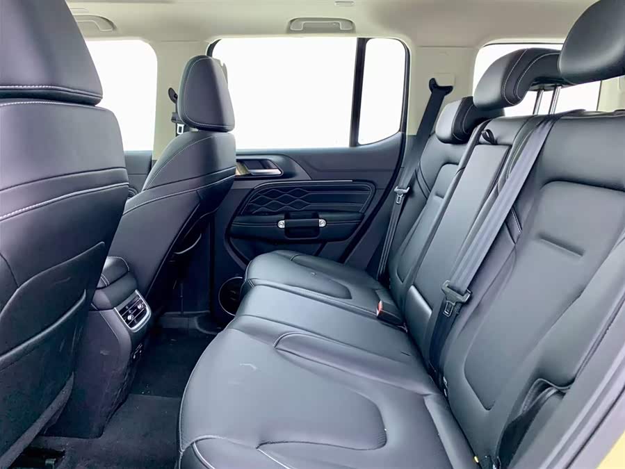 Tank 300 New Energy 2025 #13 Tank 300 New Energy 2025 car image #13