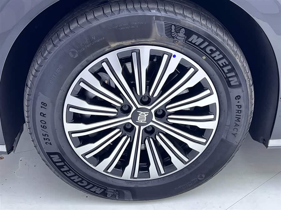 BYD Xia 2024 imagen de coche #13