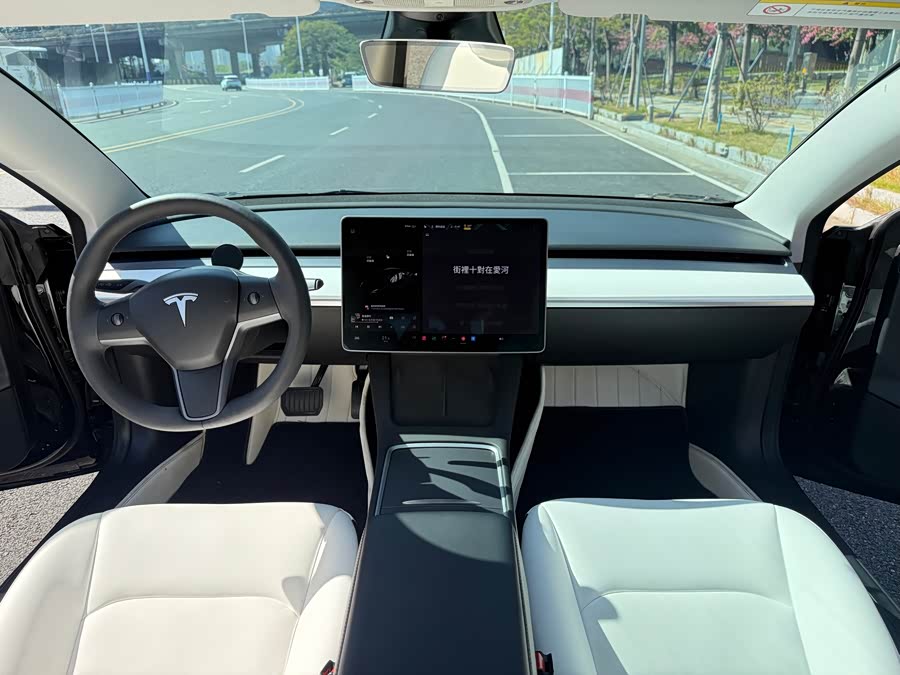 Tesla Model 3 2021 image de voiture #13