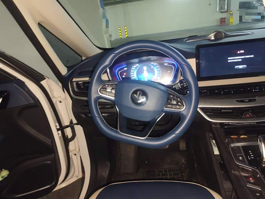 睿蓝汽车 枫叶80v PRO 2023 汽车图片 #13