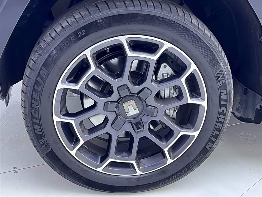 Tank 700 New Energy 2024 #13 Tank 700 New Energy 2024 imagen de coche #13