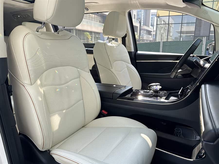 GAC Trumpchi E9 2023 car image #13