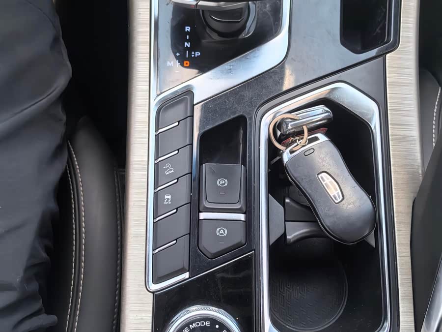 GEELY Tugella 2020 #13 GEELY Tugella 2020 car image #13