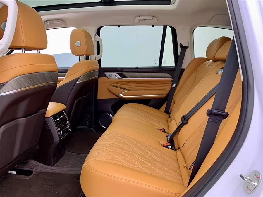 Tank 500 New Energy 2024 immagine di auto #13