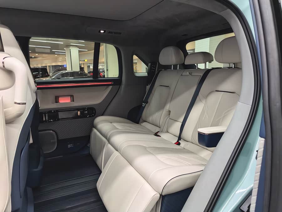 极氪 极氪MIX 2024 汽车图片 #13