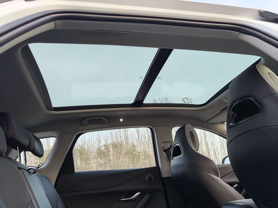 BYD Sea Lion 05 DM-i 2025 car image #13