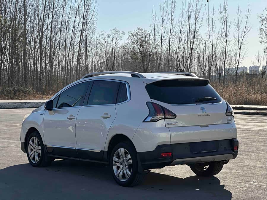Peugeot 3008 2017 car image #13