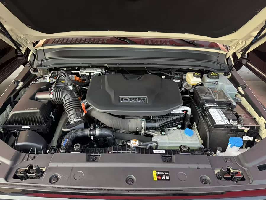 Tank 300 New Energy 2025 car image #13