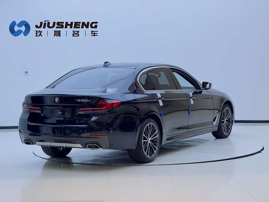 BMW 5 Series 2021 car image #13
