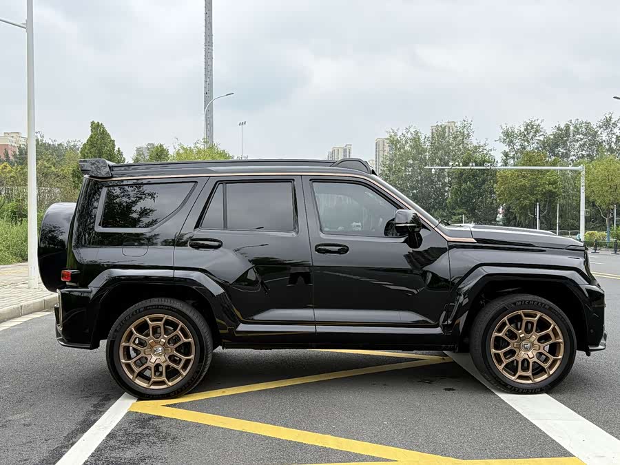 Tank 700 New Energy 2024 car image #13