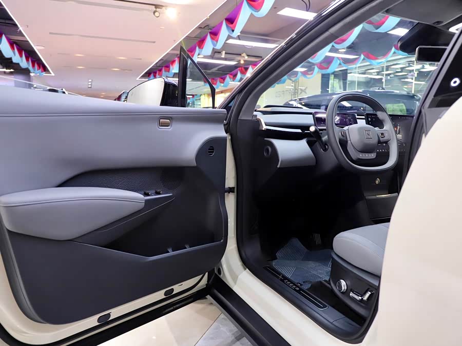 极氪 极氪X 2024 汽车图片 #13