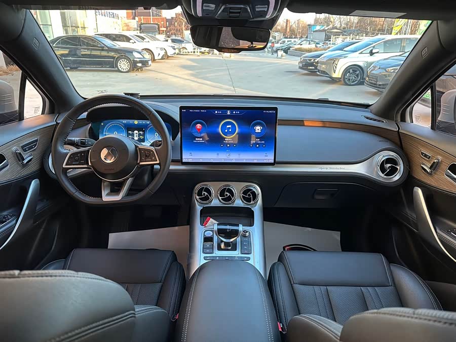 Denza X 2020 #13 Denza X 2020 car image #13