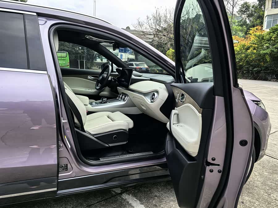 Denza X 2020 car image #13