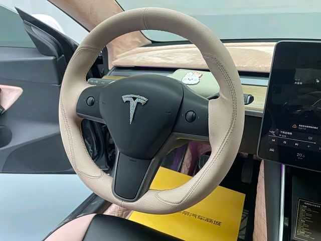 Tesla Model 3 2020 #13 Tesla Model 3 2020 car image #13