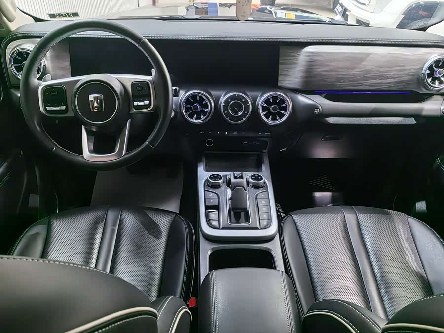 Tank 300 2022 car image #13