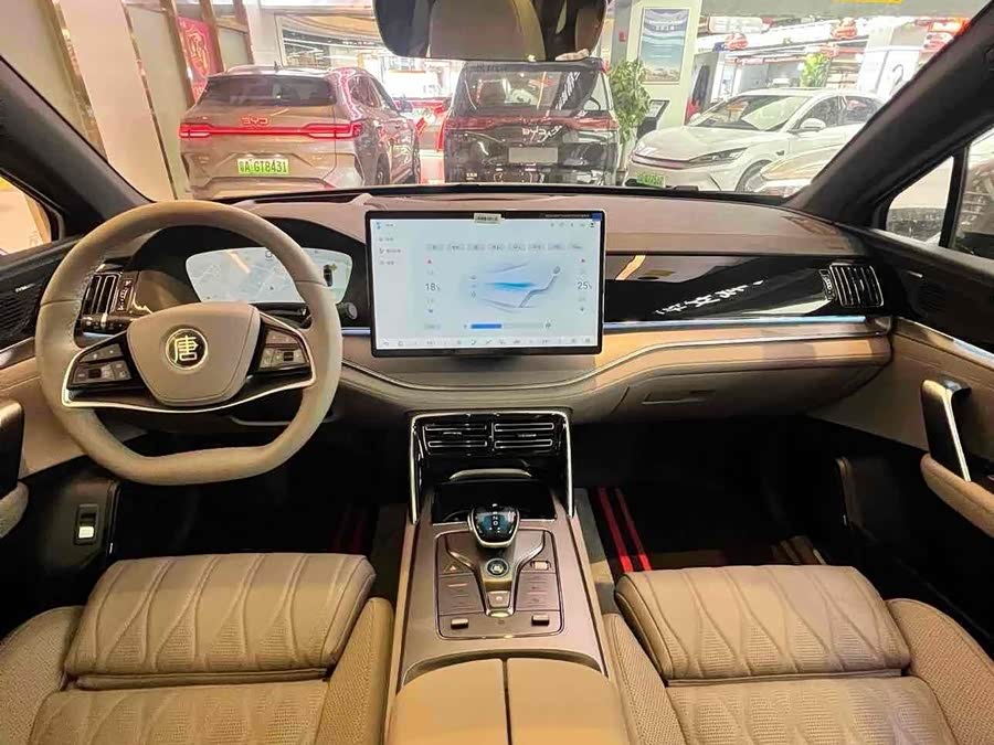 BYD Tang New Energy 2025 car image #13