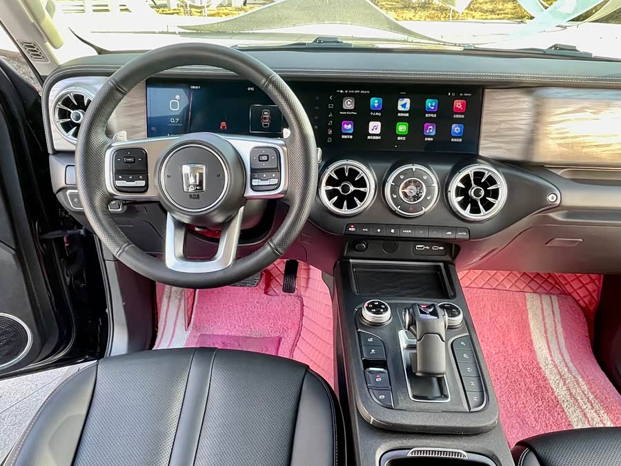 Tank 300 2023 car image #13