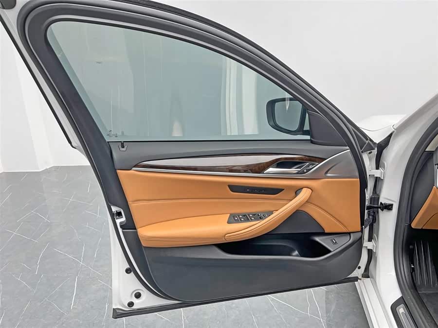BMW 5 Series 2017 car image #13