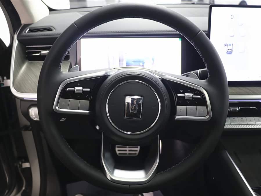 Tank 500 New Energy 2023 car image #13