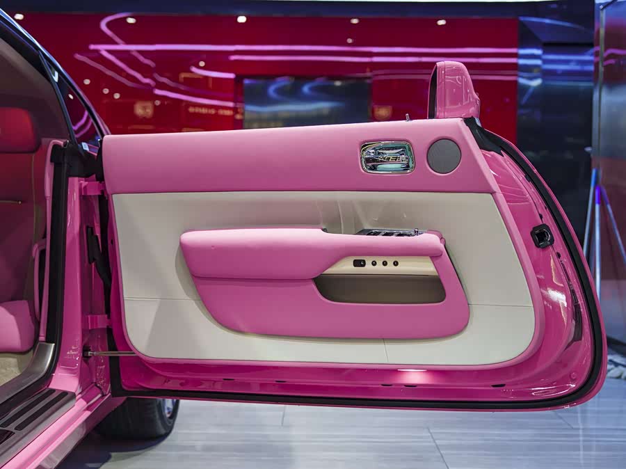 Denza Wraith 2023 car image #13
