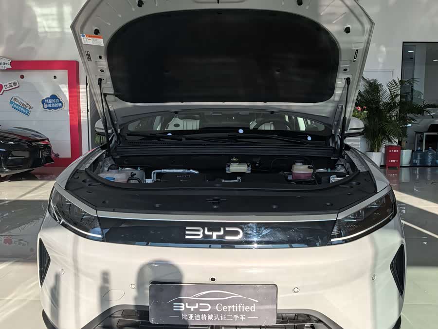 BYD Sea Lion 05 DM-i 2025 #13 BYD Sea Lion 05 DM-i 2025 car image #13