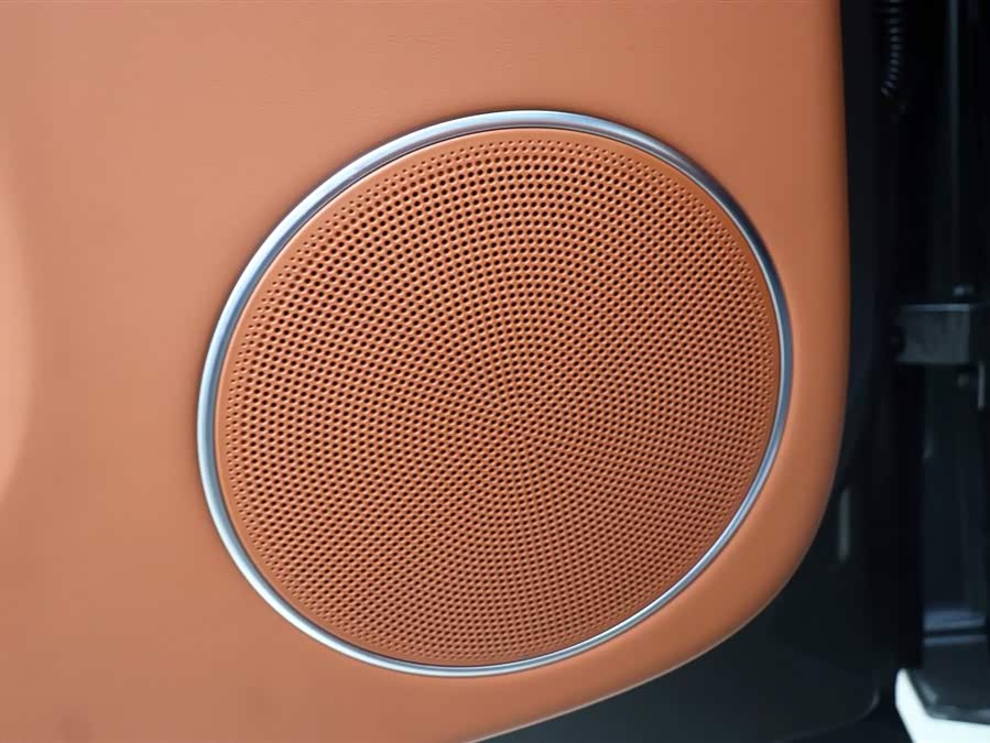 Li L9 2023 imagen de coche #13