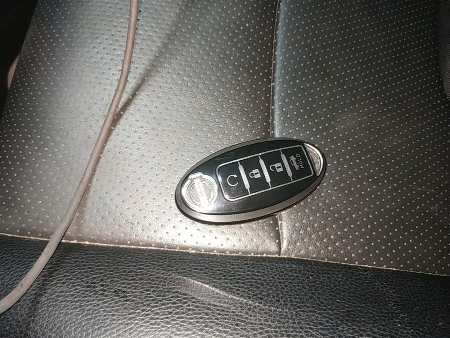 日产 轩逸·纯电 2020 汽车图片 #13