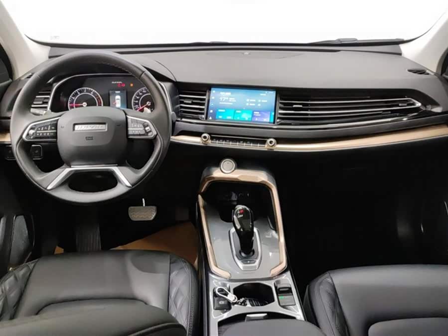 Haval H6 2021 car image #13