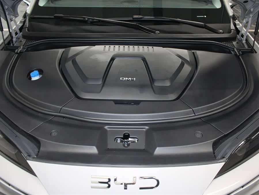 BYD Sea Lion 07 DM-i 2025 car image #13