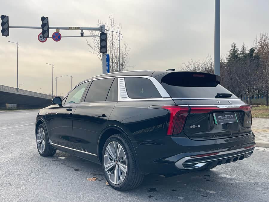 HongQi E-HS9 2023 изображение автомобиля #13