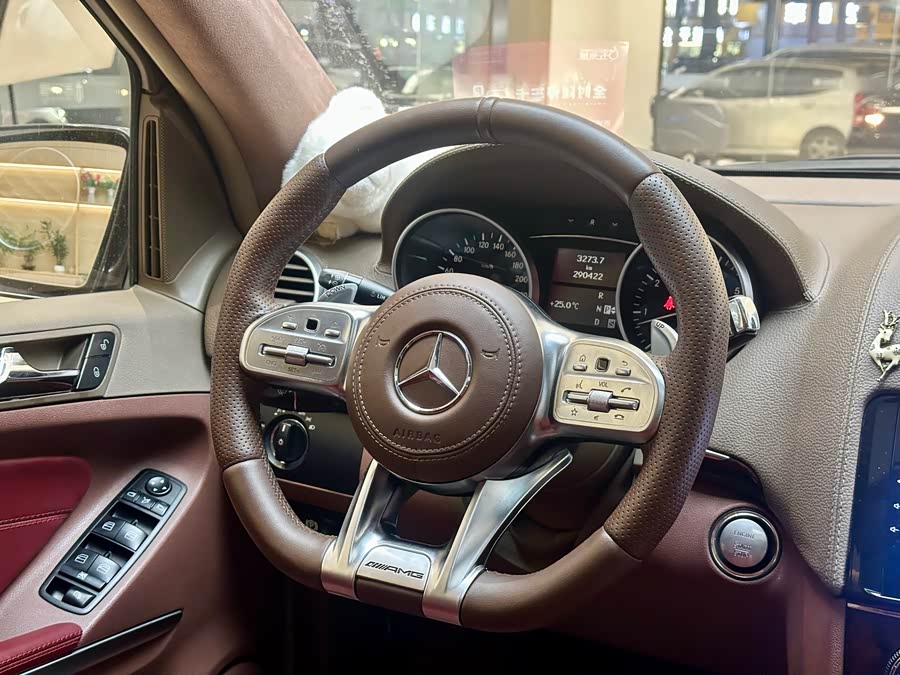 Mercedes-Benz GL Class 2009 car image #13