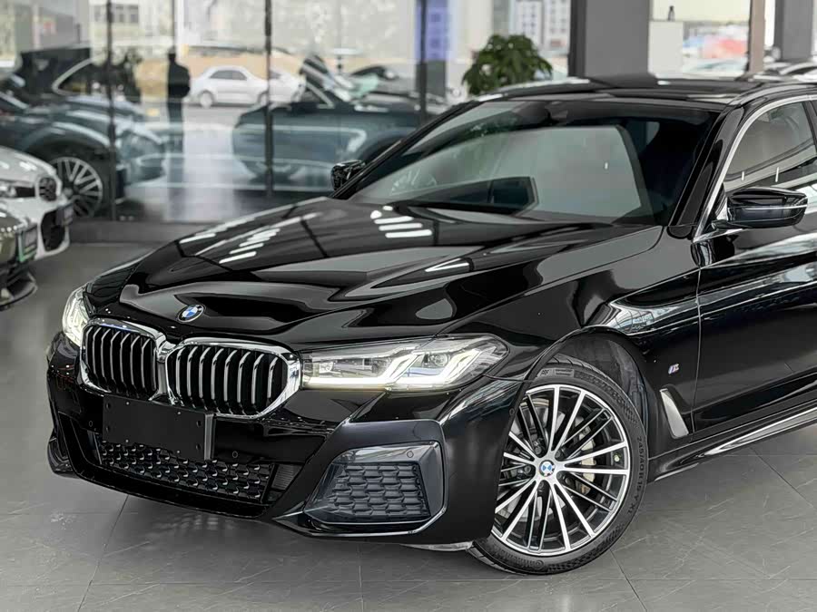 BMW 5 Series 2022 car image #13