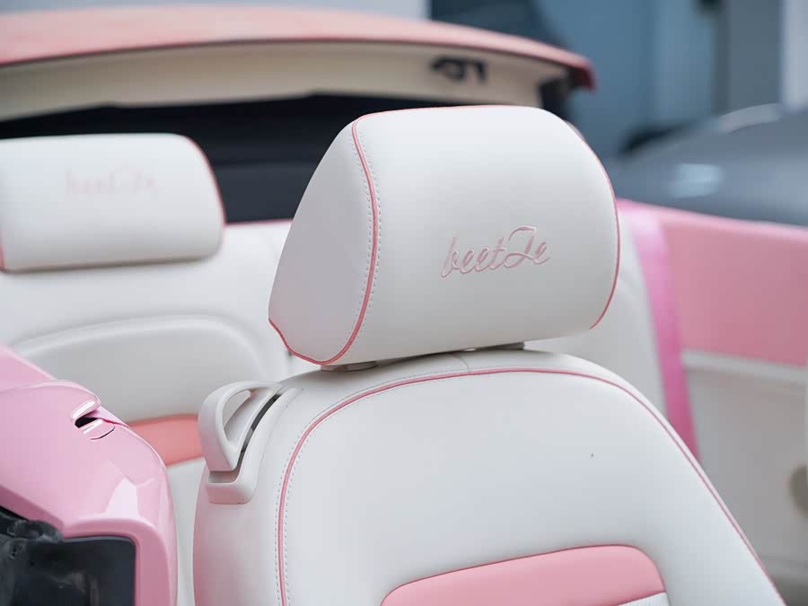 大众 甲壳虫 2010 汽车图片 #13