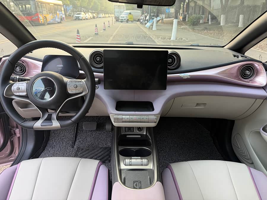 BYD Dolphin 2022 car image #13