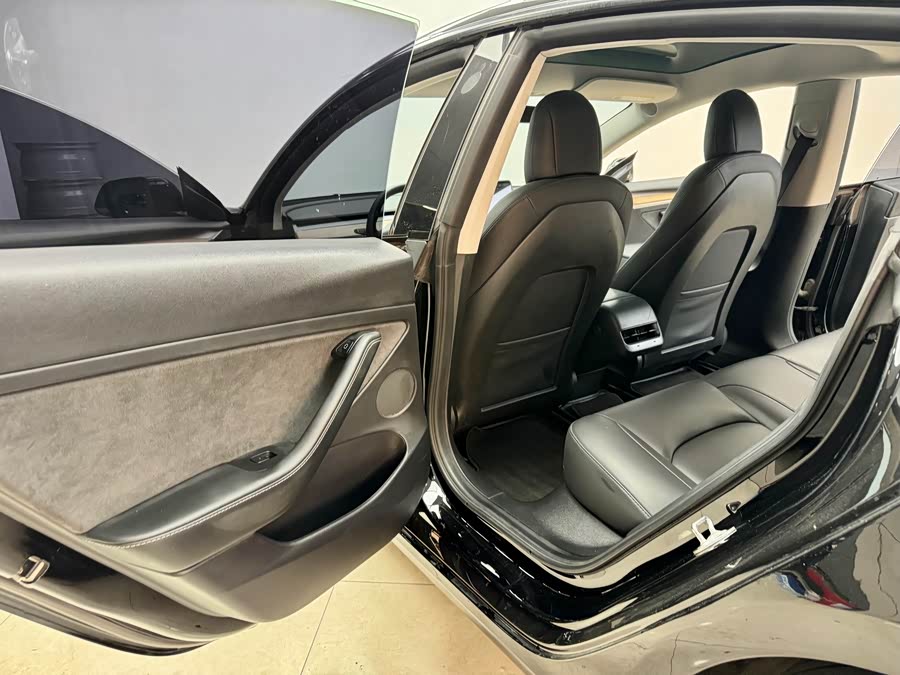 Tesla Model 3 2021 car image #13