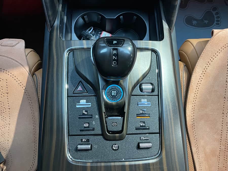 BYD Tang New Energy 2023 car image #13