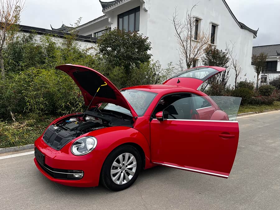 Volkswagen Beetle 2017 car image #13