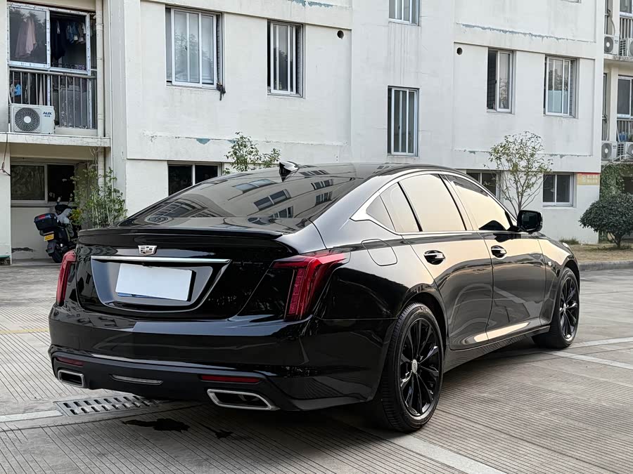 2020 #13 2020 car image #13