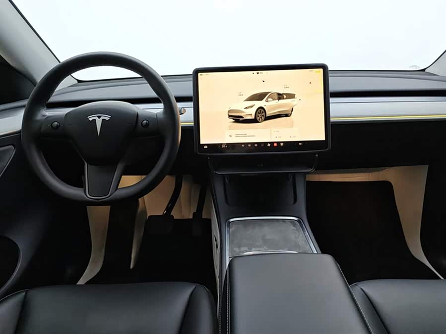 Tesla Model Y 2024 car image #13