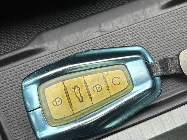 GEELY Monjaro 2021 car image #13