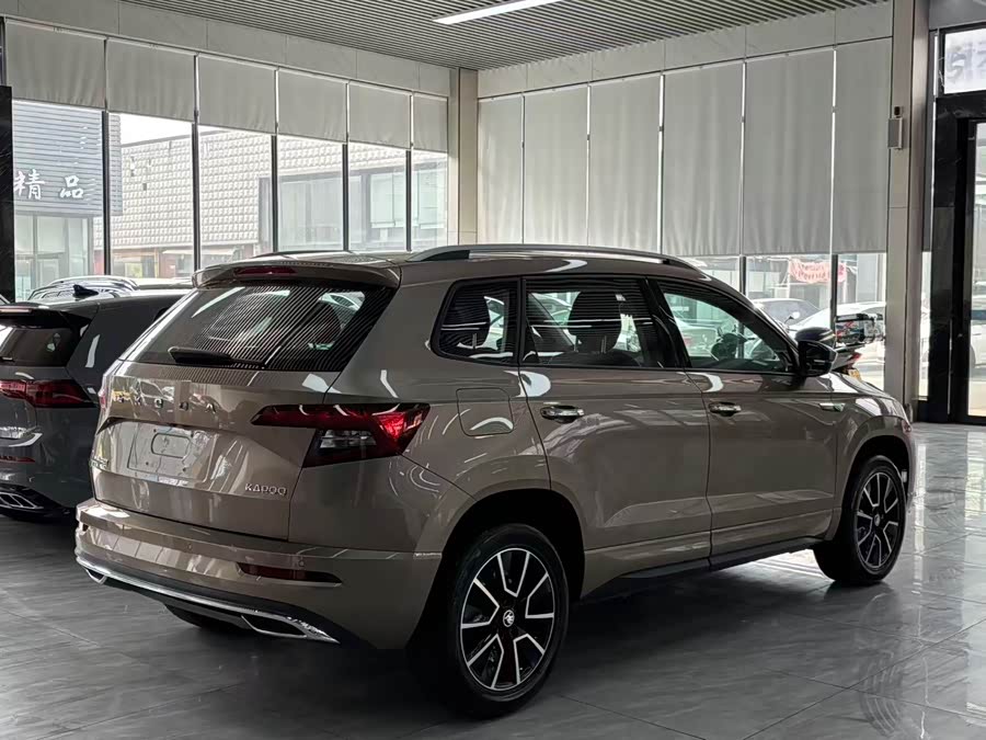 Skoda Karoq 2022 car image #13