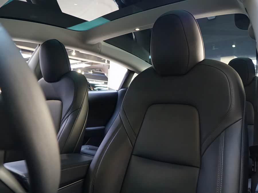 Tesla Model 3 2020 car image #13