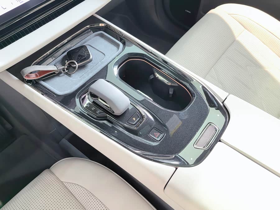 极氪 极氪009 2024 汽车图片 #13