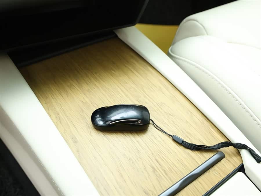 Tesla Model X 2019 immagine di auto #13